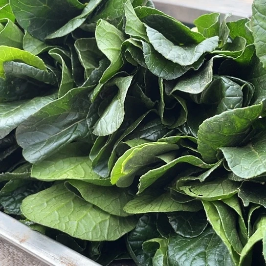 中国大陆小黑菜三把赶集