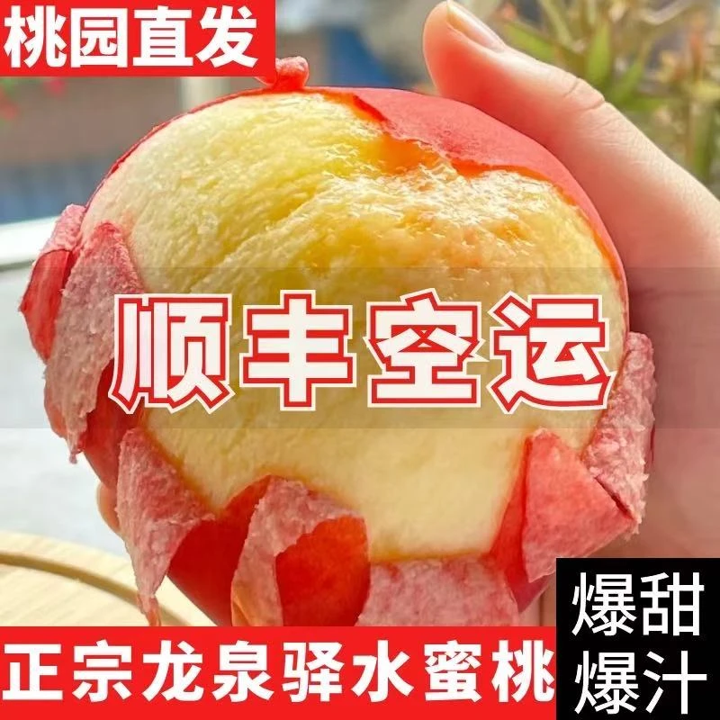 老【4斤 巨无霸】四川龙泉水蜜桃 新鲜现摘 脆甜多汁 坏果包赔 4斤当季新鲜水果桃子四川省