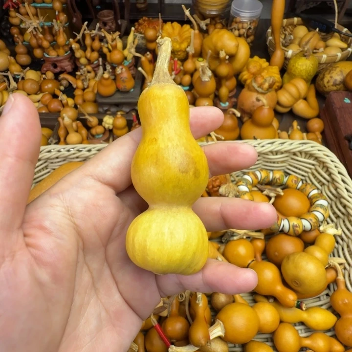 厚皮大八宝服务区
