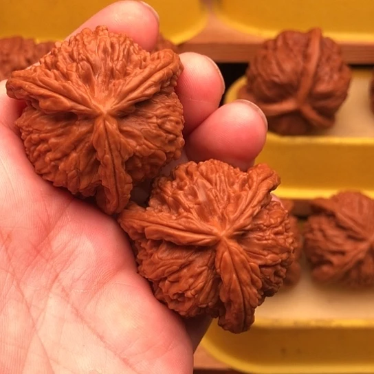 ****难文玩核桃把件核桃