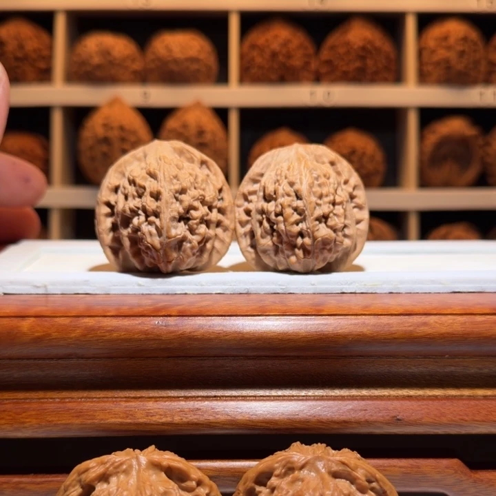 精品毕业级望月又舞狮子尺寸42