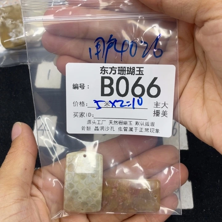 硅化珊瑚（珊瑚玉）颈饰合金用****6
