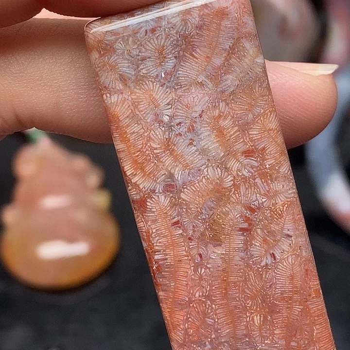 硅化玉未镶嵌颈饰