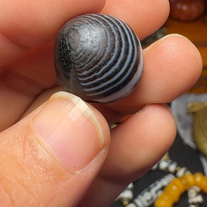 星***舟一个一个一个一个一个一个