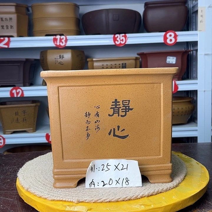 紫砂花盆蛇年大吉