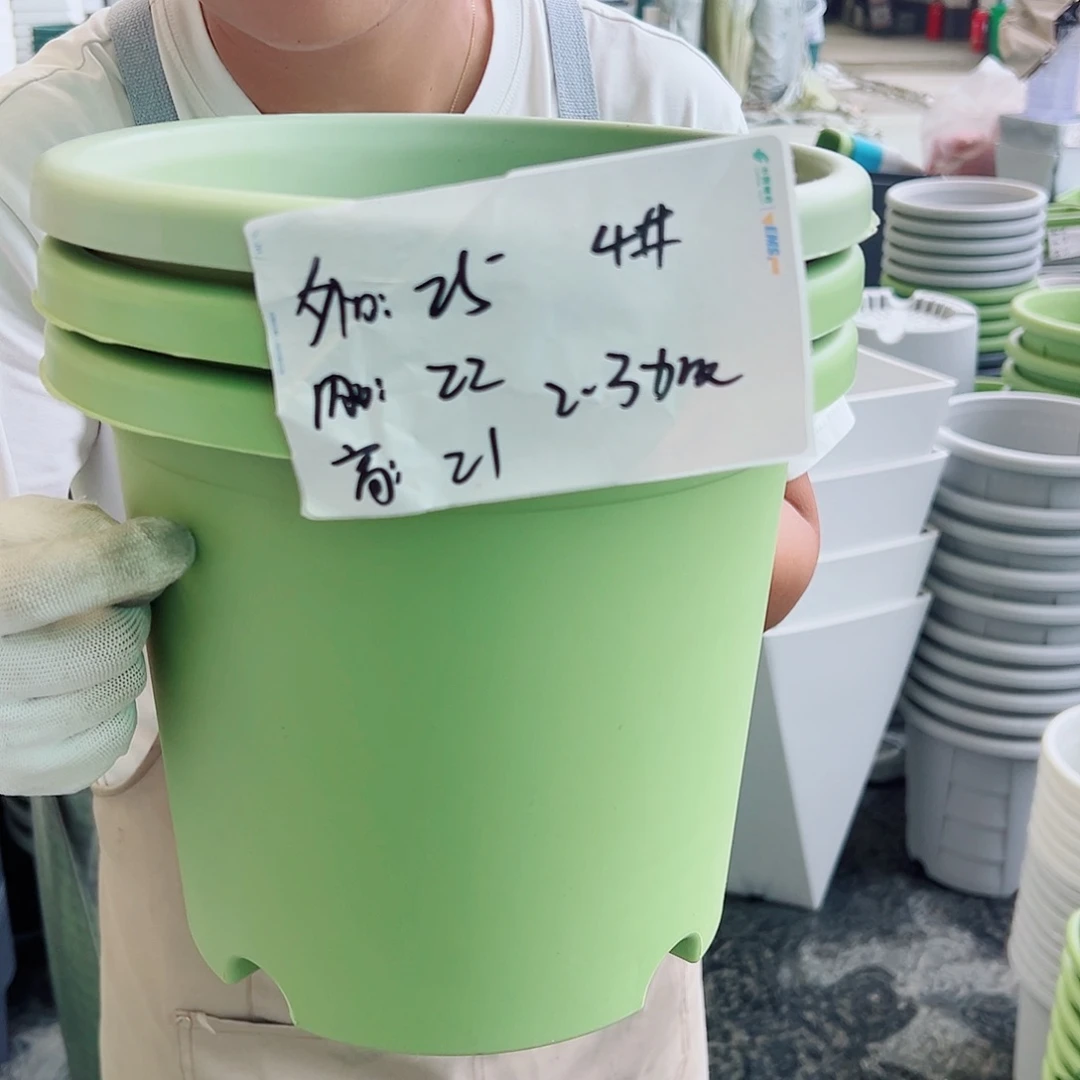 四季盆4#果绿色8个无托