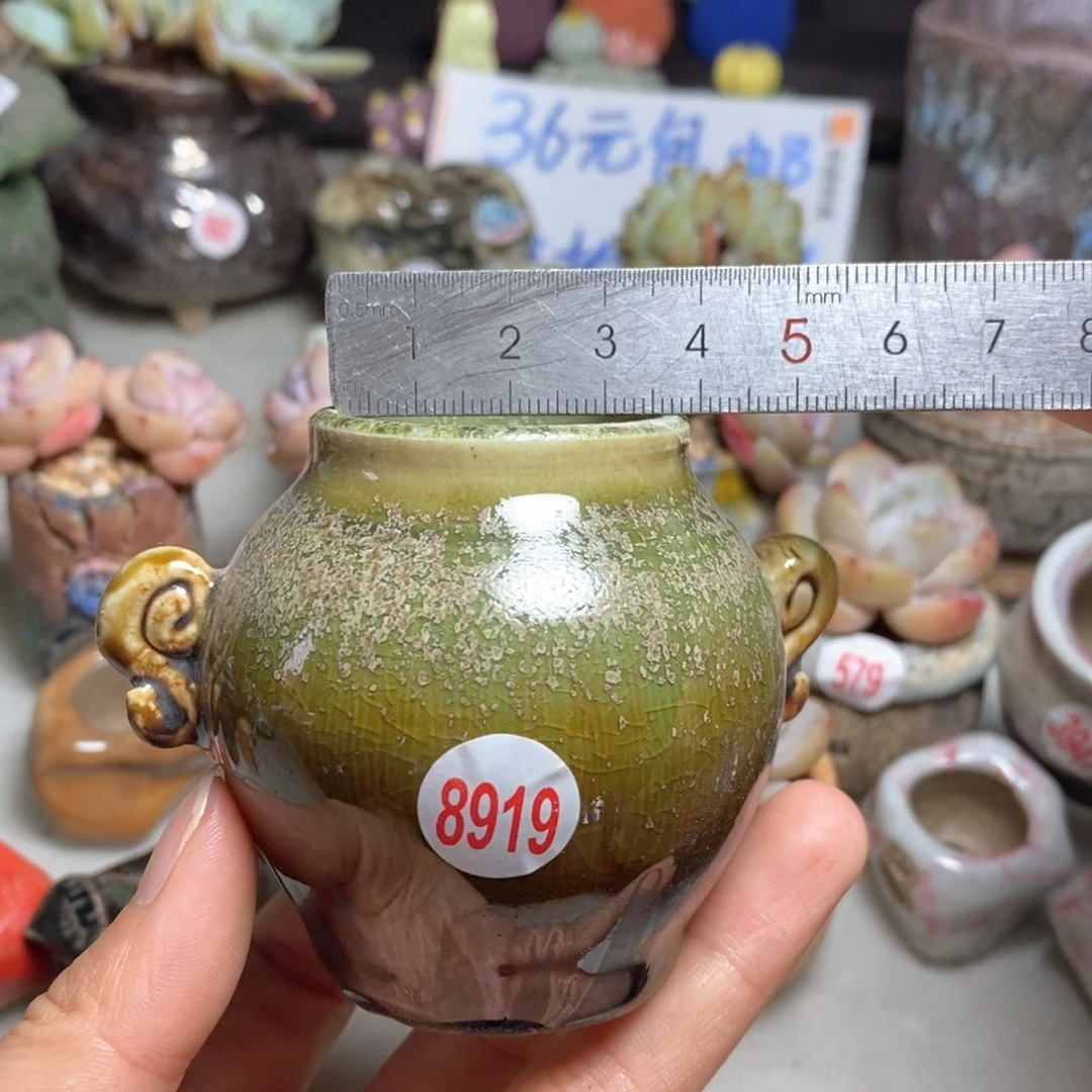 拍5送一个小礼物