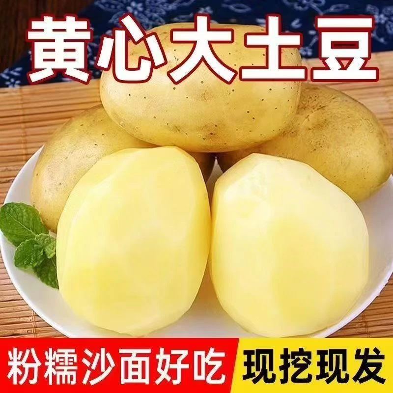 【至诚至品】2025陕北高原黄皮土豆9-10斤带箱黄洋芋新鲜马铃薯