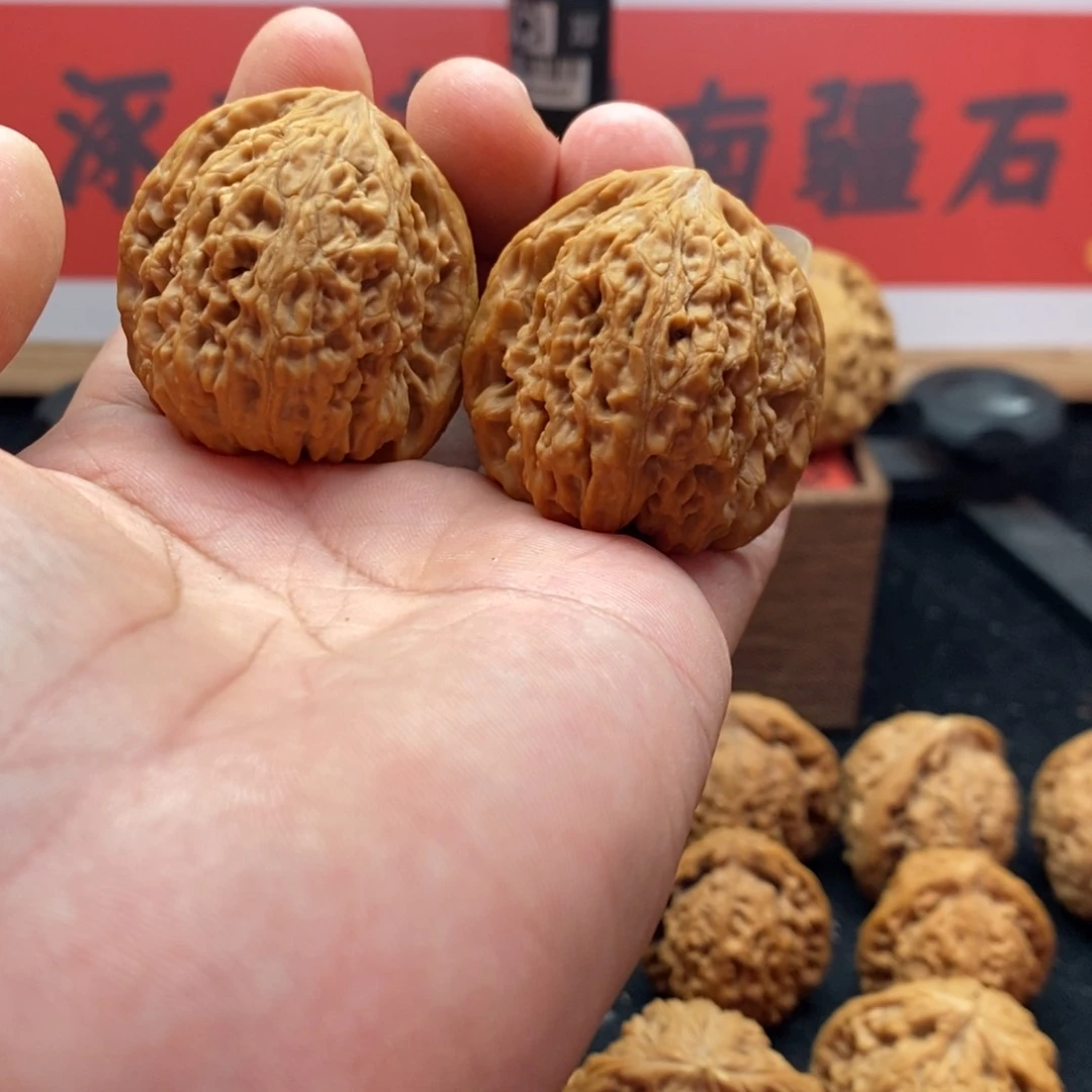 涿鹿老树南将石599