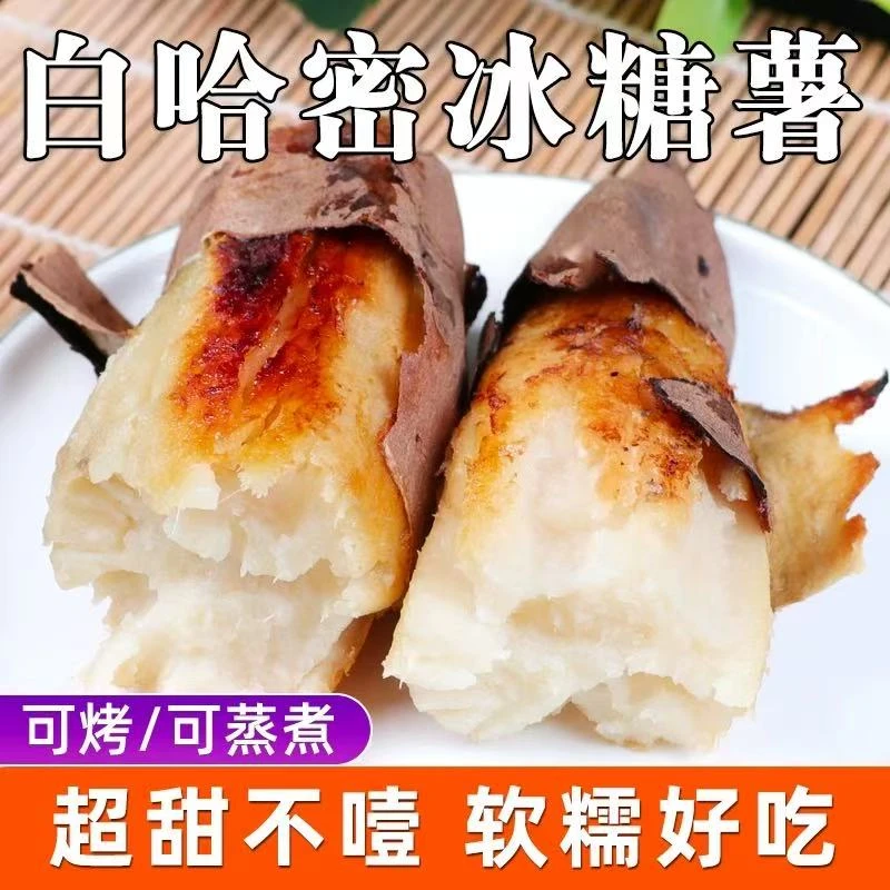 2025【超甜】新鲜哈密冰糖心白薯番薯壤白如玉软糯香甜农家自种包邮