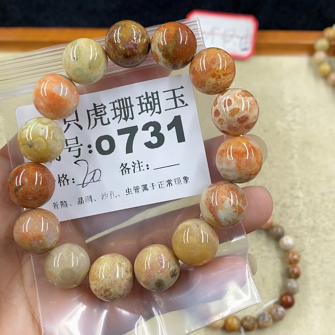 硅化珊瑚（珊瑚玉）1未镶嵌刺****點