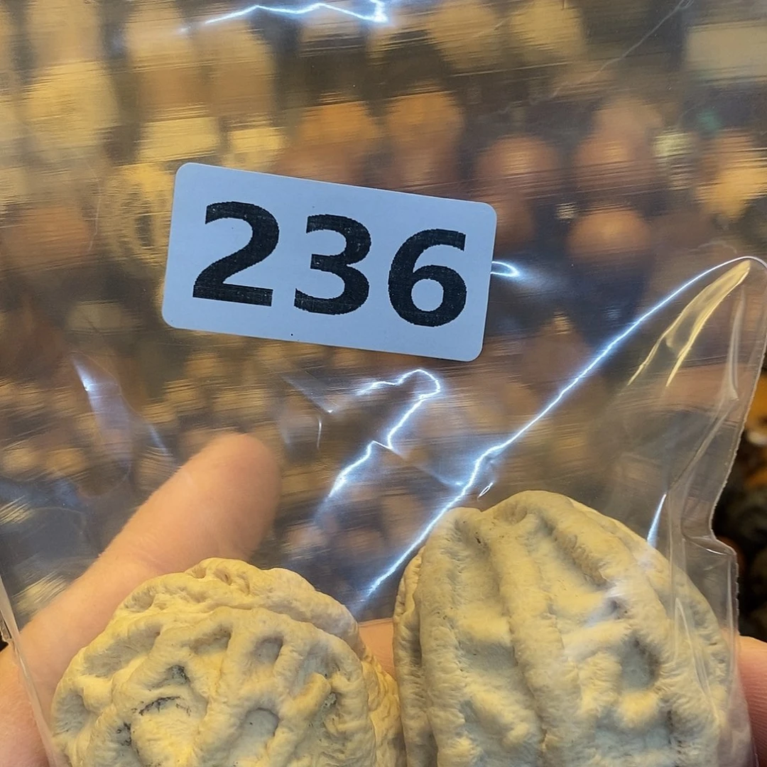 吊坠橄榄核开***点