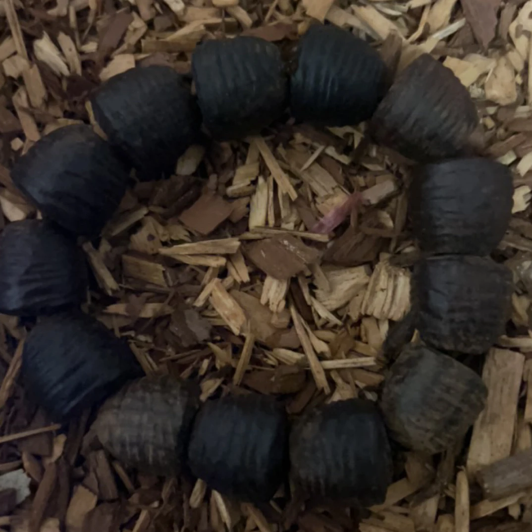 52 福来文玩精选沉香木作手串18mm