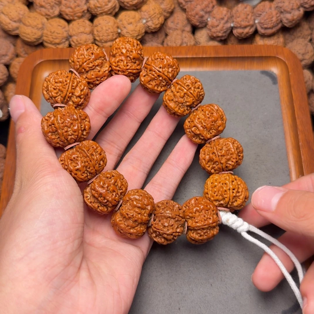 7号尼泊尔大金刚24.5-25七瓣原生态梅花