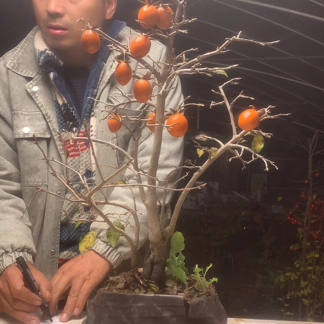 聚***：无花朵我们的目标是