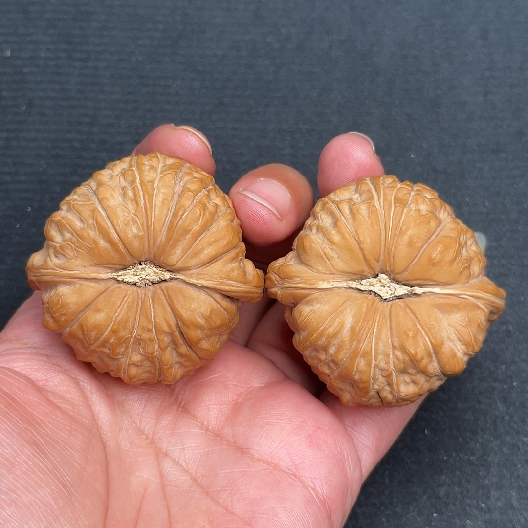 桃核把件48×47全品头茬南瓜墩XM1038