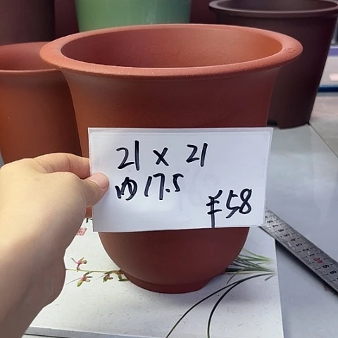 紫砂2858555385555555
