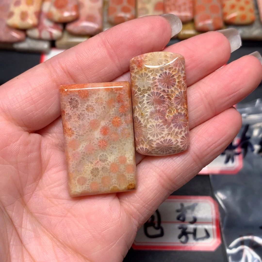 【闪购商品】未镶嵌颈饰硅化玉粉****猫