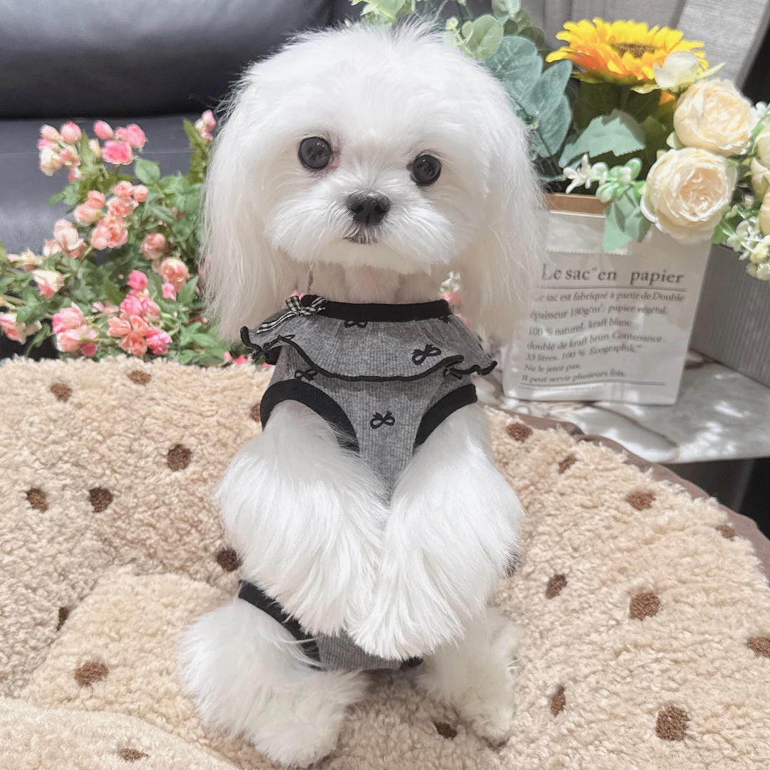 新款宠物包肚衣手术服