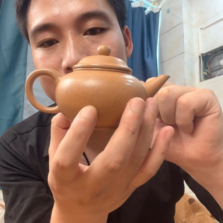 茶壶紫砂正品一把