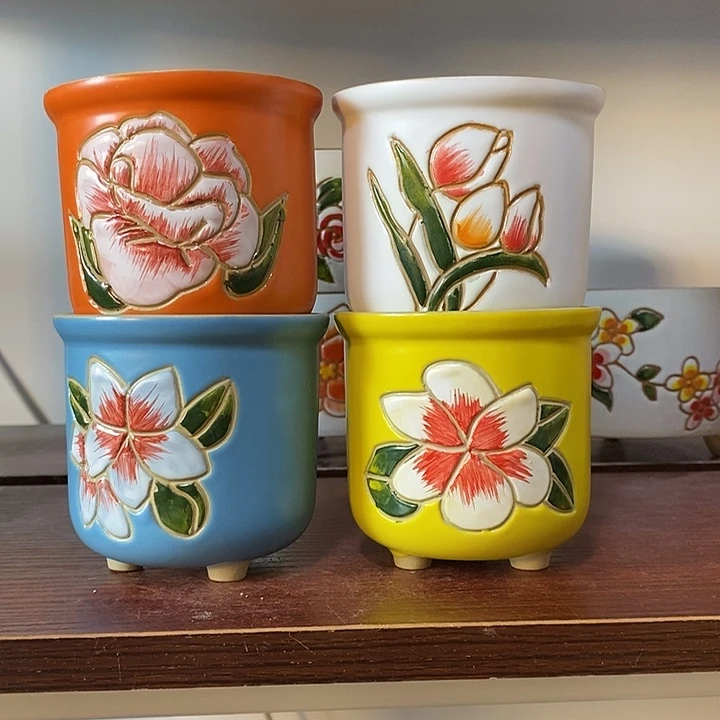 韩式多肉植物花盆