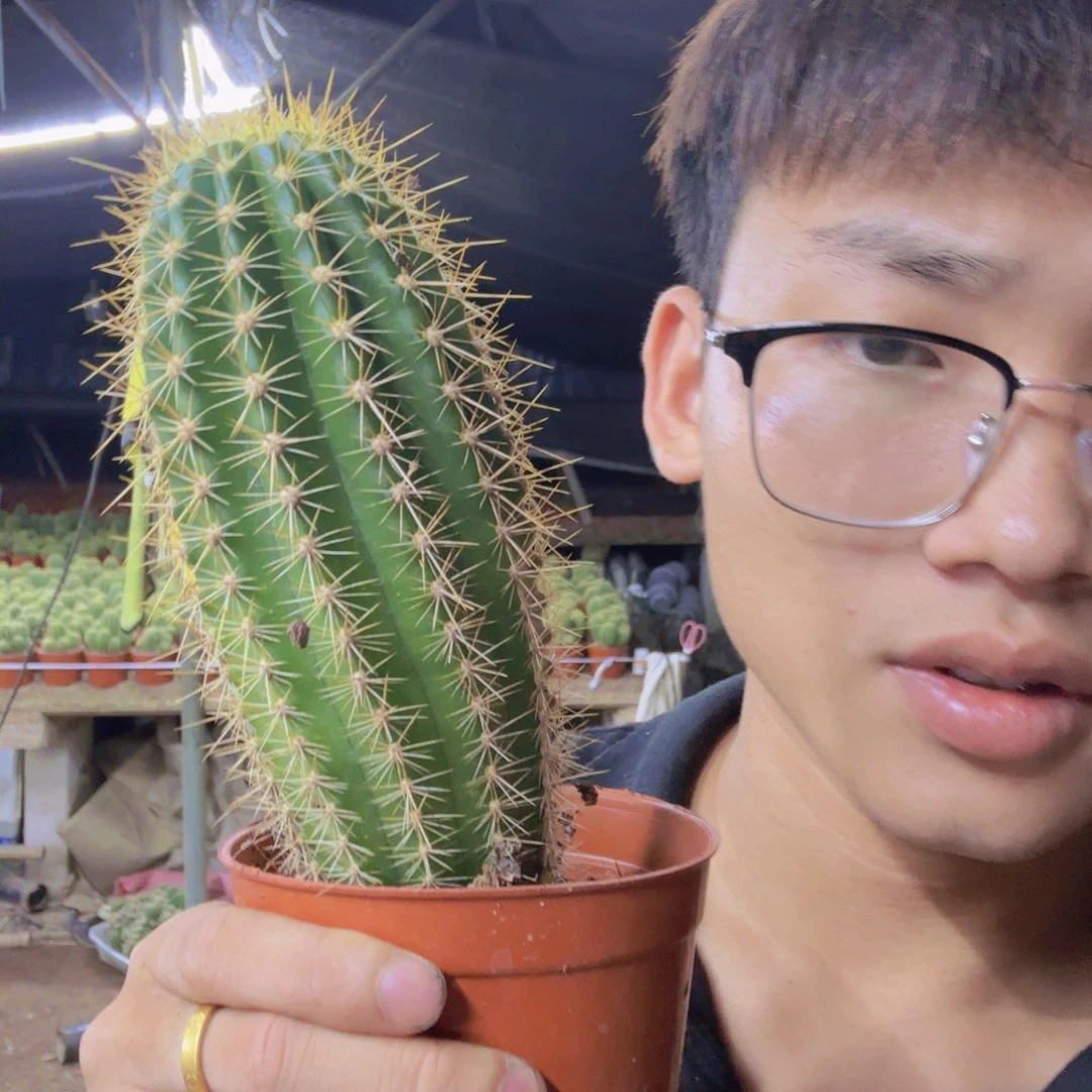 无花朵今**缘花花花哈哈哈哈花花花