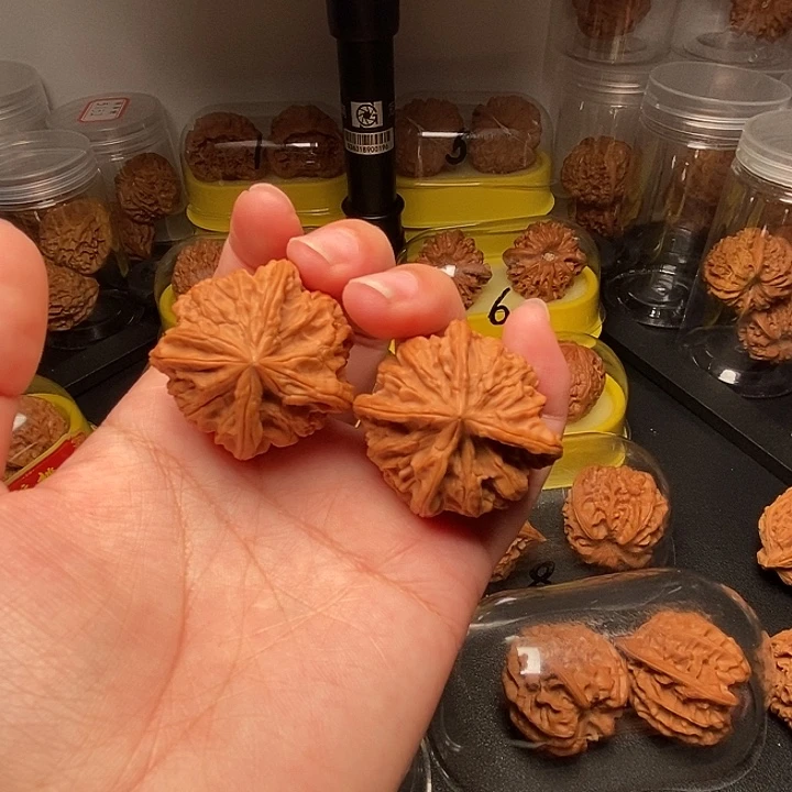天然四棱 全品无修