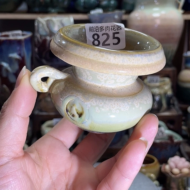 狼盆内口径6高度6