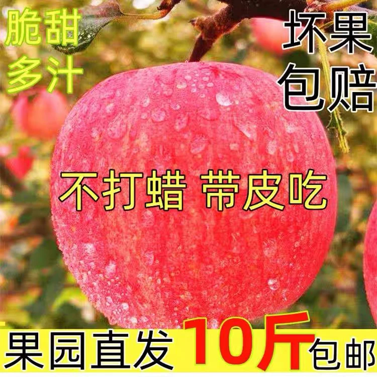 包邮河南灵宝特产红富士苹果高山红富士脆甜多汁天然富硒产地直销
