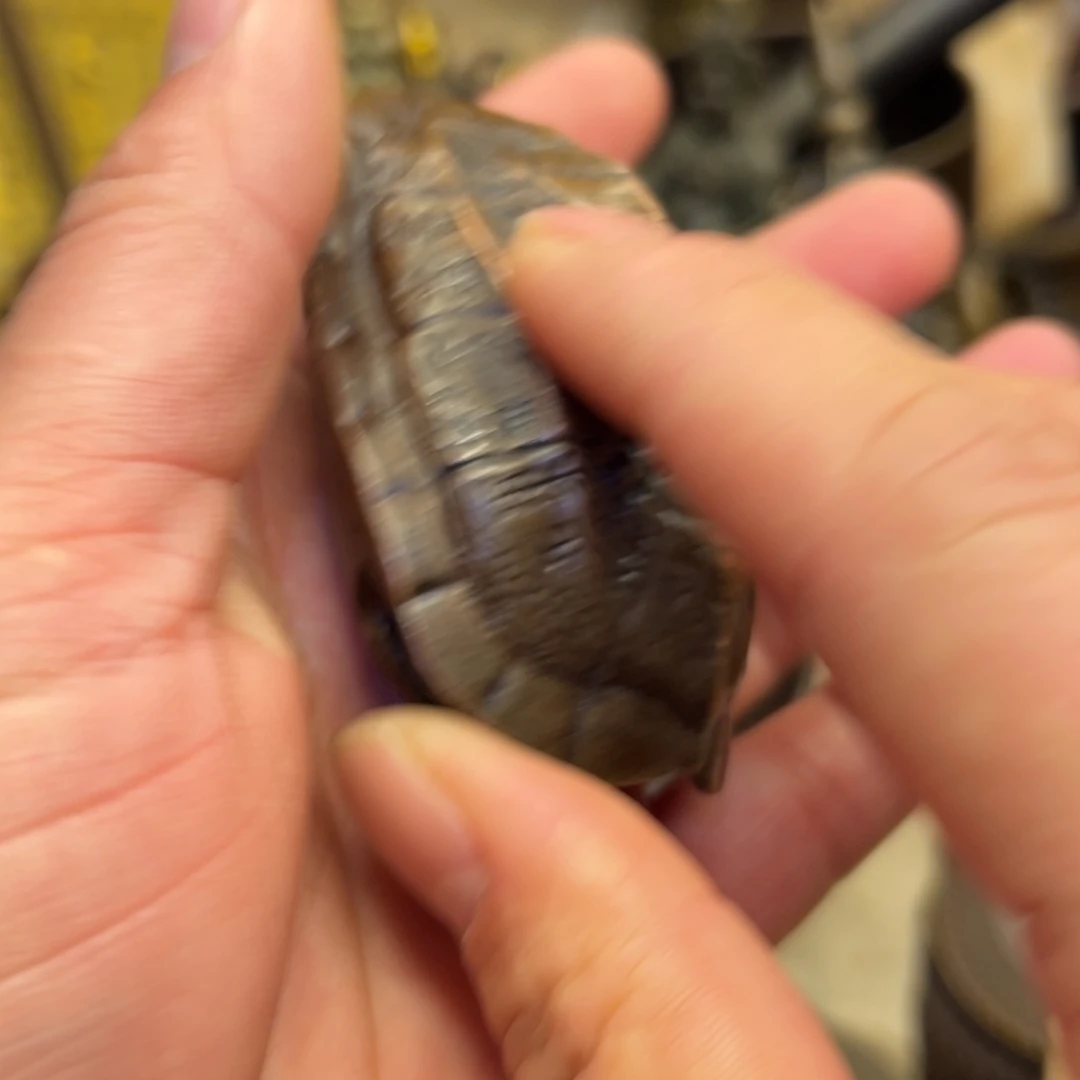 铜器工艺百货艺品专属链接