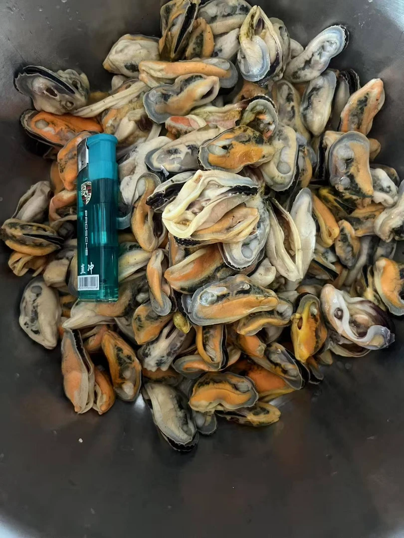 新鲜现开青口贝肉