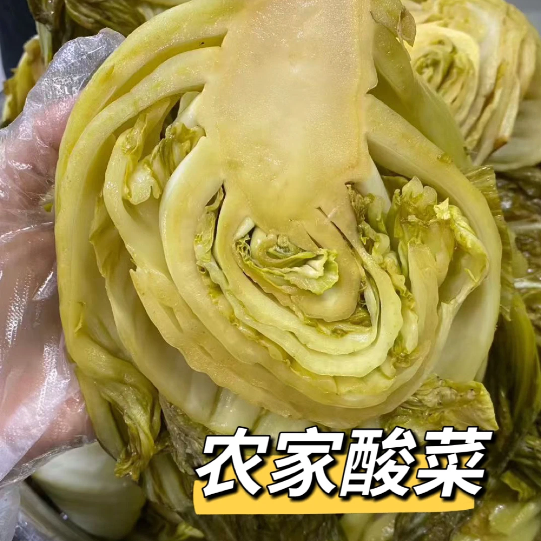 烫水酸菜玉芥菜新鲜腌制广西特产纯手工制作包邮
