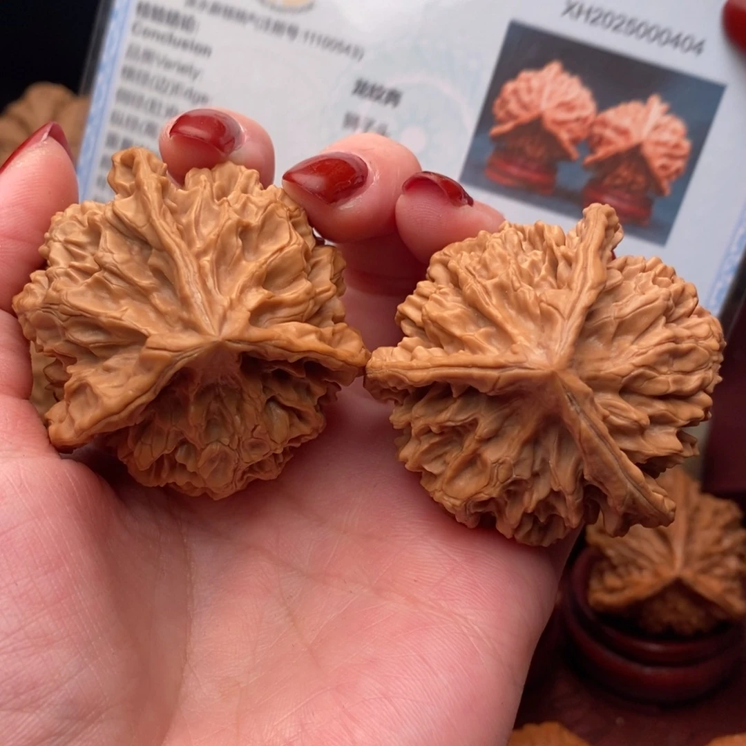 文玩核桃把件龙纹奔49