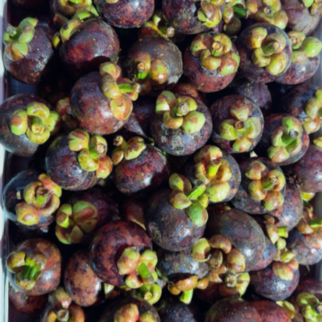 泰国油麻竹山竹3斤