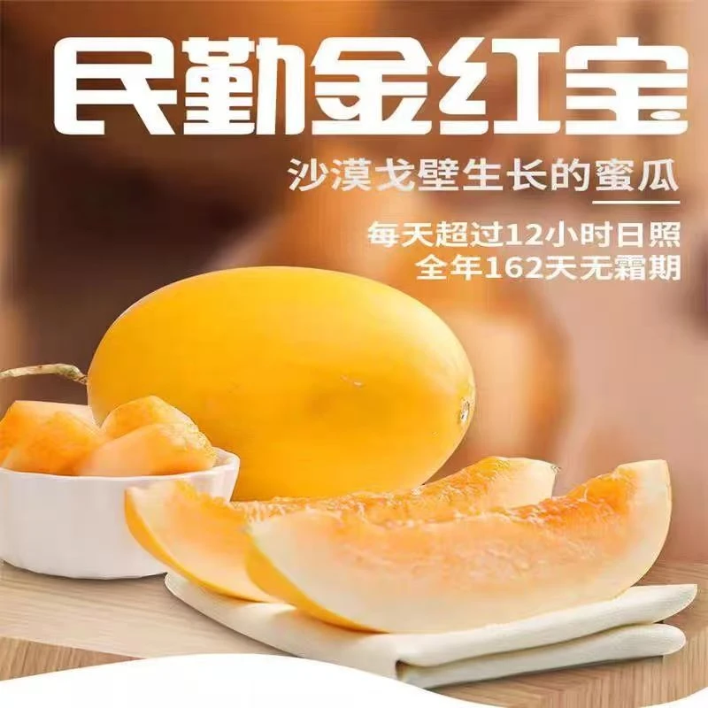 正宗甘肃民勤黄河蜜瓜