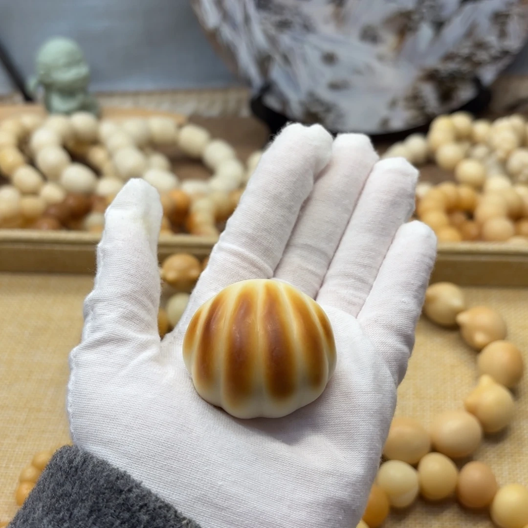 吊坠菩提根/象牙果牙果贝壳把件672