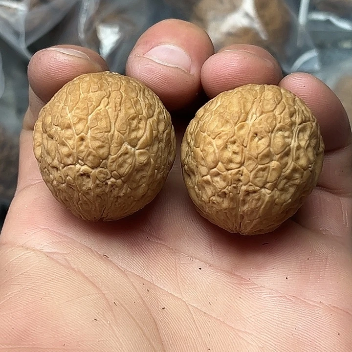 核桃22号闷筋圆球36尺