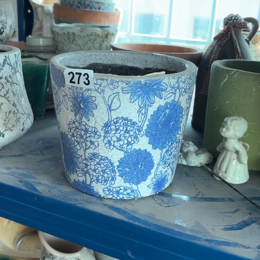 许纯的花房孤品273