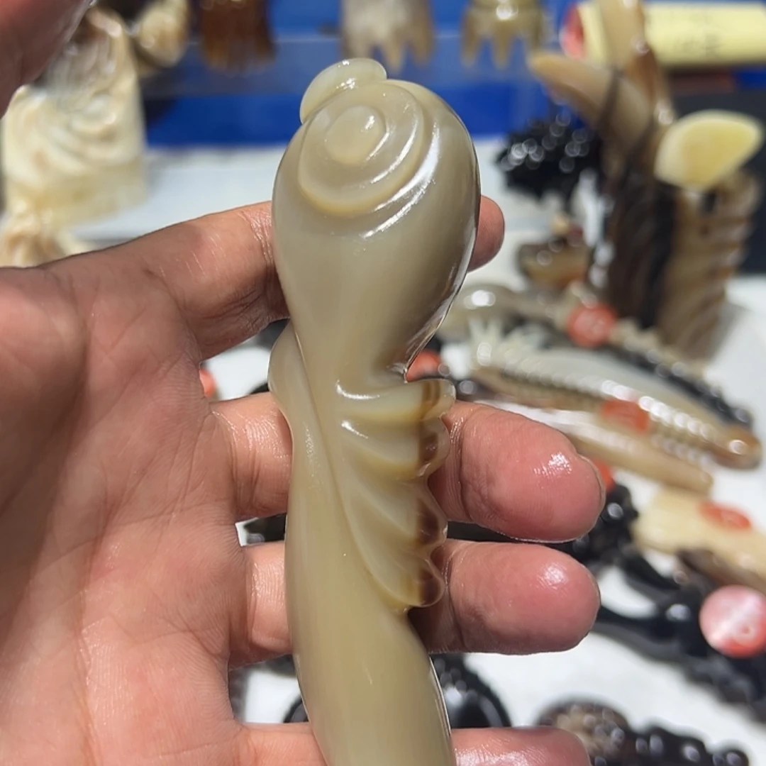 贝壳手串/手链天然牛角一物一拍