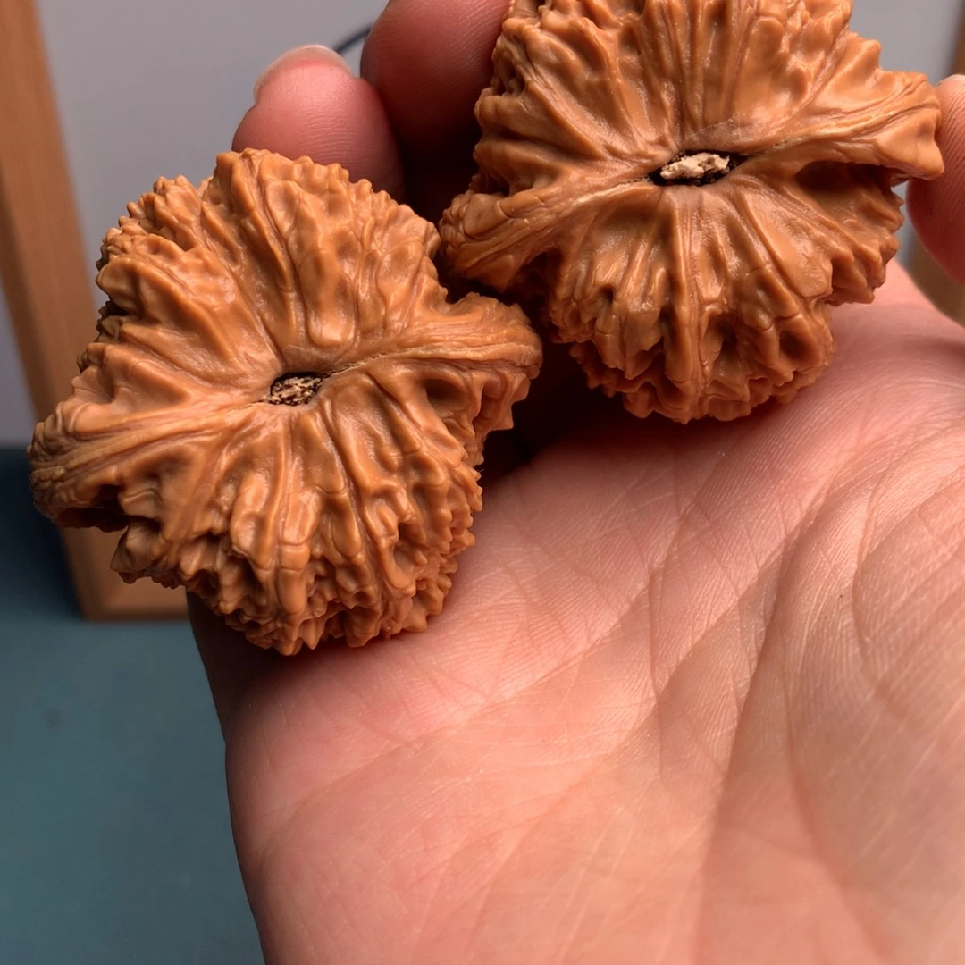 鸿***运南疆1万平方公里以上大