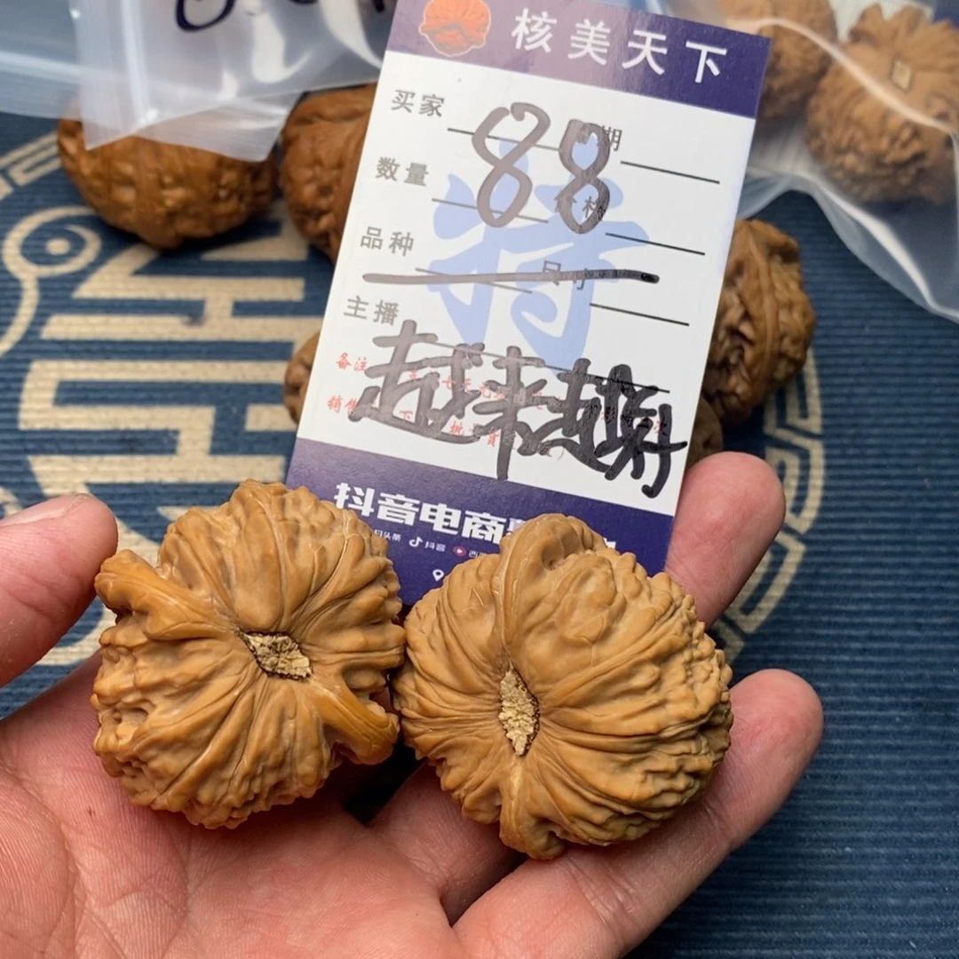 y***好白狮子589868989988