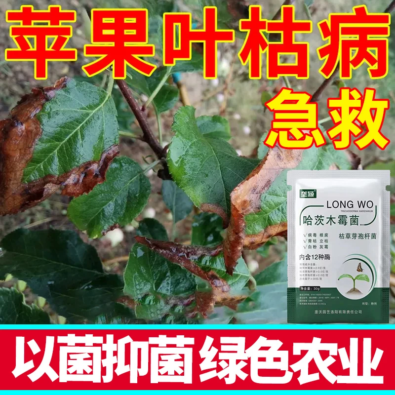 苹果叶枯病急救微生物抑菌剂叶子发黄落叶枯叶枝条枯萎急救营养肥