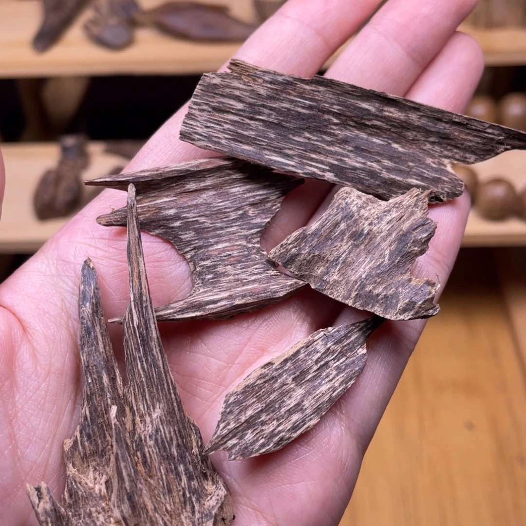 5.5克海南尖峰岭老野料