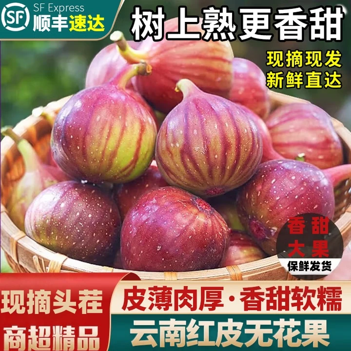 【顺丰包邮】云南红皮无花果鲜果现摘发货老味道无花果顺丰冷链发货