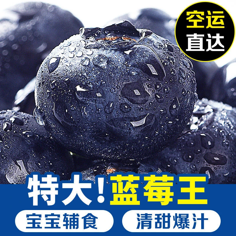 18-20mm【顺丰包邮】云南花香蓝莓新鲜采摘酸甜可口果园现摘现发