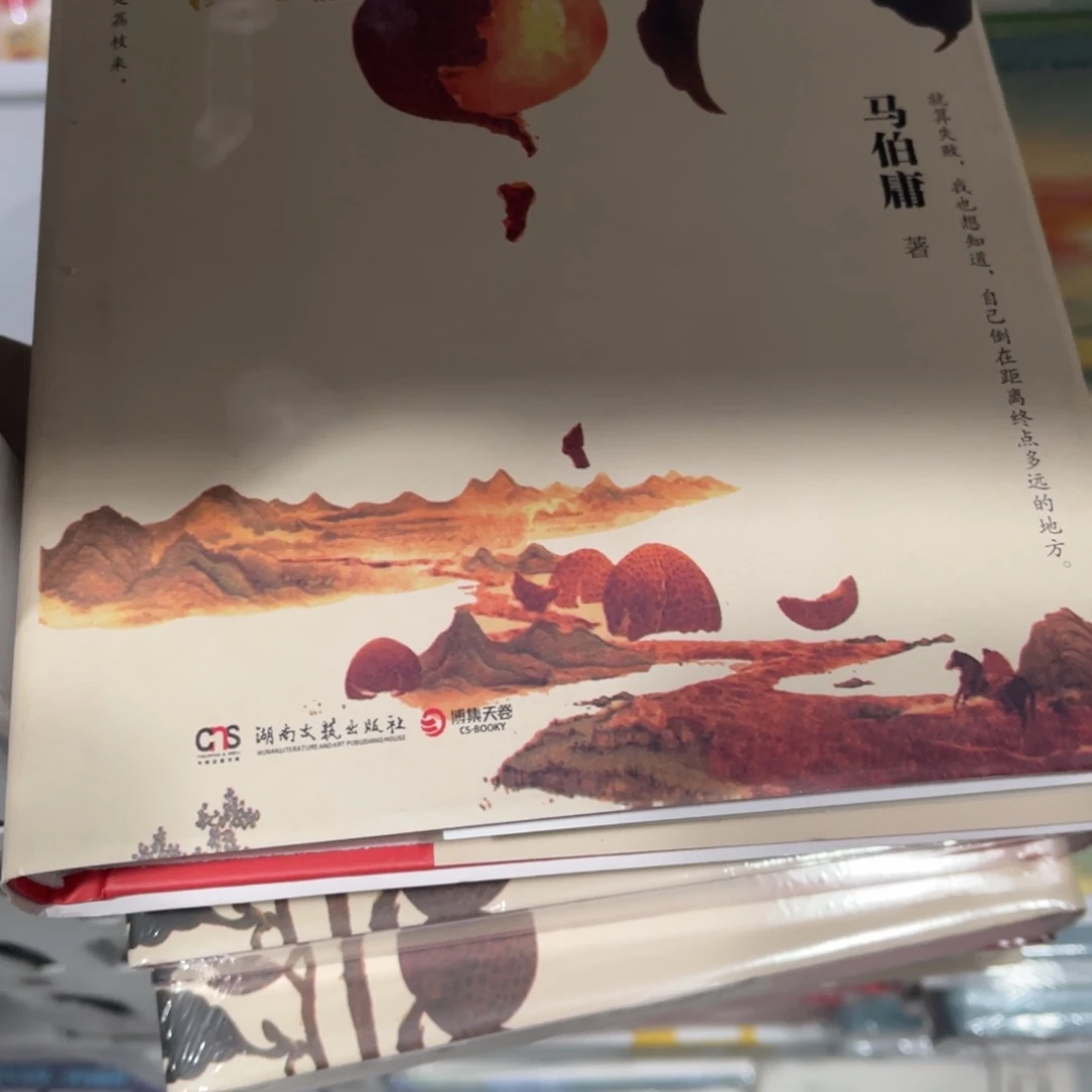 长安的荔枝精装一个