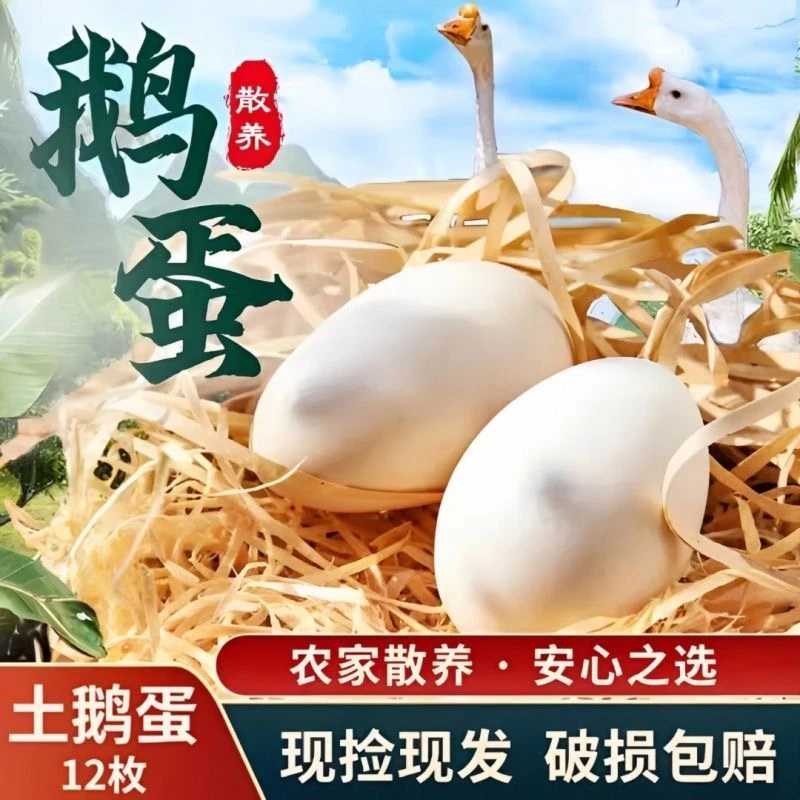 正宗农村新鲜大鹅蛋孕妇农家散养土鹅蛋现捡现发12枚一箱