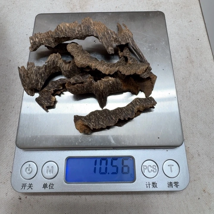 香榧木玉*子海南尖峰岭天然野料子10克