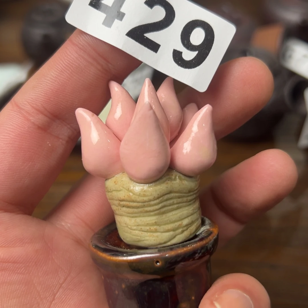 429哈哈哈哈哈哈哈哈哈哈