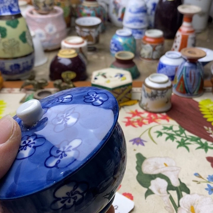 飞升为我心中唯一不忘祖国人民